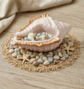 Shell Cove Concrete Candle